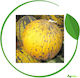 Agrogen Samen Melone Thrakisch 20gr