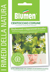 Blumen Σπόροι