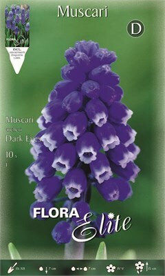 Flora Elite Βολβoί
