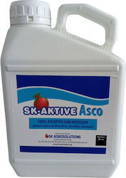 Aktive Λίπασμα Φυκιών 5lt Aktive Λίπασμα Φυκιών 5lt