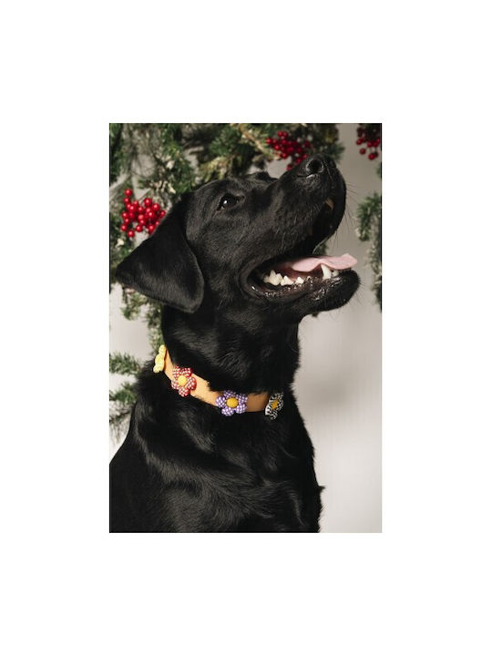 Unicord Wasserfest Crocs Charm Hundehalsband Orange 51cm-57cm XLarge