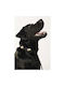 Unicord Wasserfest Crocs Charm Hundehalsband Schwarz 44cm-50cm Groß