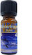 Αρωματικό Λάδι Winter Dream 10ml