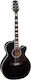 Takamine Acoustic Guitar Cutaway Black Satin / Black