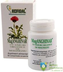 Săruri de Magneziu 60 Comprimate Hofigal Săruri de Magneziu 60 Comprimate Hofigal