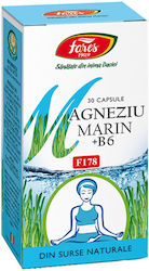 Dietary Supplement Marine Magnesium + Bl 30 Capsules Dietary Supplement Marine Magnesium + Bl 30 Capsules