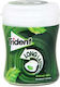 Trident Chewing gum with Flavor Spearmint 1pcs 50.6gr