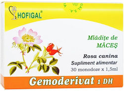 Gemoderivat Pisoi Tânăr Hofigal 30ml Gemoderivat Pisoi Tânăr Hofigal 30ml