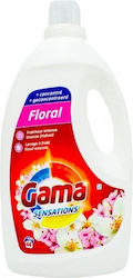 Gama 2.2lt (44 Cupe de măsurare)