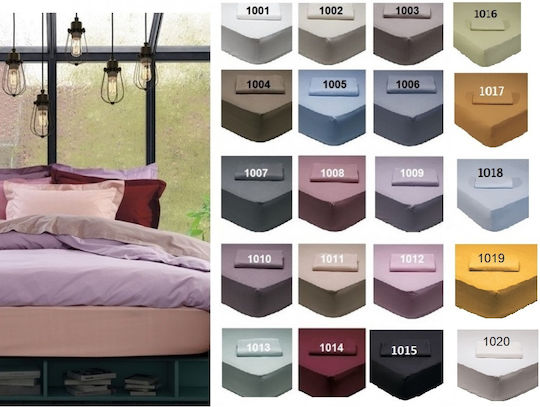 Bettlaken Einzel Baumwolle Super-Doppel Gummibettlaken 160x200+35cm Farbe Burgundisch Best 1014 Das Home Stoff Baumwolle 100% Typ Unterbettlaken Gummibettlaken Burgundisch Größe Super-Doppel Das Home 422410221014