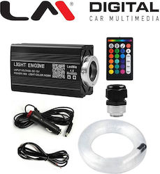 LM Digital 12V