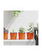 vidaXL Set of 50 Ceramic Flower Pots Orange 15x13cm