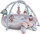 Activity Gym for Newborns