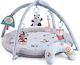 Activity Gym for Newborns