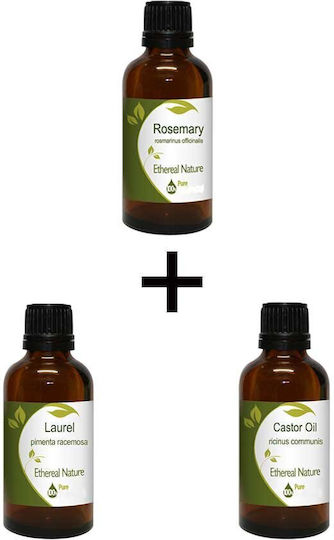 Samson Power Set Castor Oil 100ml + Laurel Oil 100ml + Rosemary Oil 100ml Nature & Body
