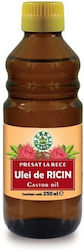 Herbavit Καστορέλαιο για Μαλλιά και Σώμα 250ml Herbavit Καστορέλαιο για Μαλλιά και Σώμα 250ml