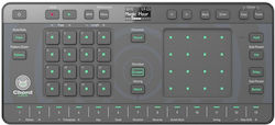 Pioneer Chordcat