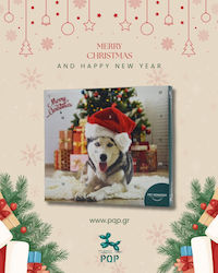 PQP Advent Calendar Pet Rewards Dog Snacks Mix PQP Advent Calendar Pet Rewards Dog Snacks Mix