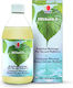 DXN Eistee Ohne Kohlensäure, Biologisch FB231-med 285ml