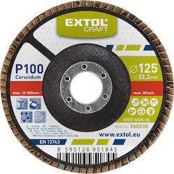 Flap Disc 125mm P100 Extol Craft 260030