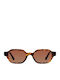 Meller Cumbi Male Sunglasses With Brown Horn-Rimmed Frame And Brown Lens CU-TUTGBROWN