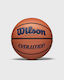 Wilson Evolution Pro 295 Game Minge De Baschet ...