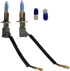Auto Gs Hod Crystal Λάμπες H1 Αλογόνου Μπλε 2τμχ Auto Gs Hod Crystal Λάμπες H1 Αλογόνου Μπλε 2τμχ