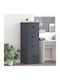 Office Storage Drawer Metal with Lock Anthracite 44x50x106.5cm