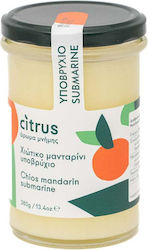 Citrus Υποβρύχιο 380gr