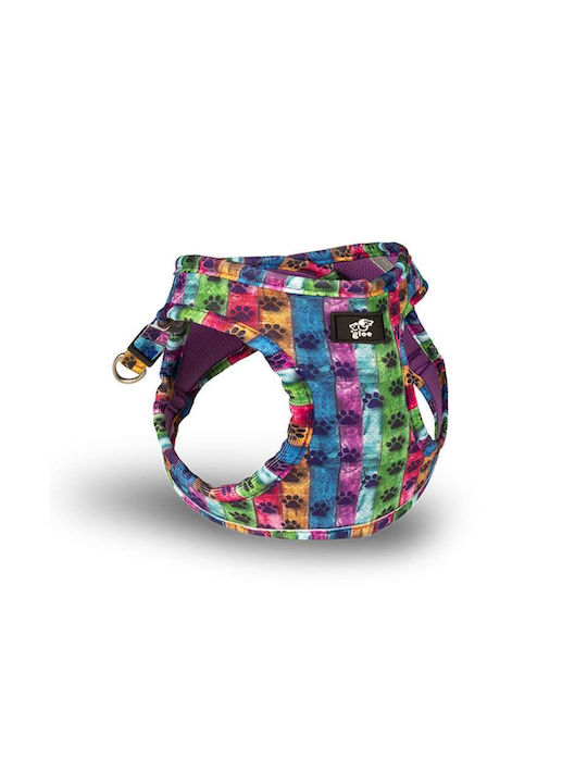 Glee Hundegeschirr Typ "step In" Paw Garden Mehrfarbig 54-60cm
