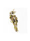 Supergreens Artificial Hanging Ficus Afzelii Dual Tone Green 90 Cm 7-1574