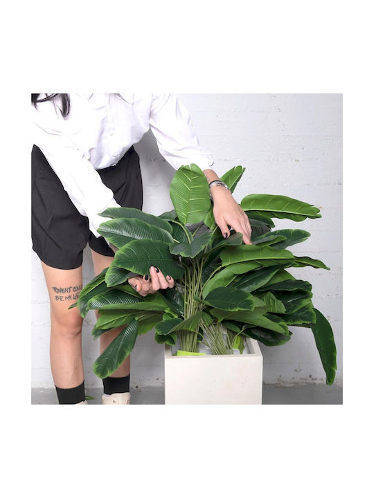 Supergreens Künstliche Vertiefte Musa Grüne 81 cm 7-2015