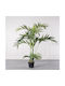 Supergreens Изкуствено Дърво Арахондофиникас Betel Regal Зелено 200 См 6-0822