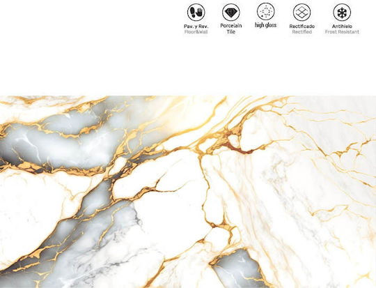 LV Granito Placă Perete Interior Porțelanat Lucios 120x60cm Golden