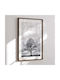Nordic Line Frame Dark Brown Oak Wood Acrylic Glass 15 Mm W50 X H70 Cm Incado