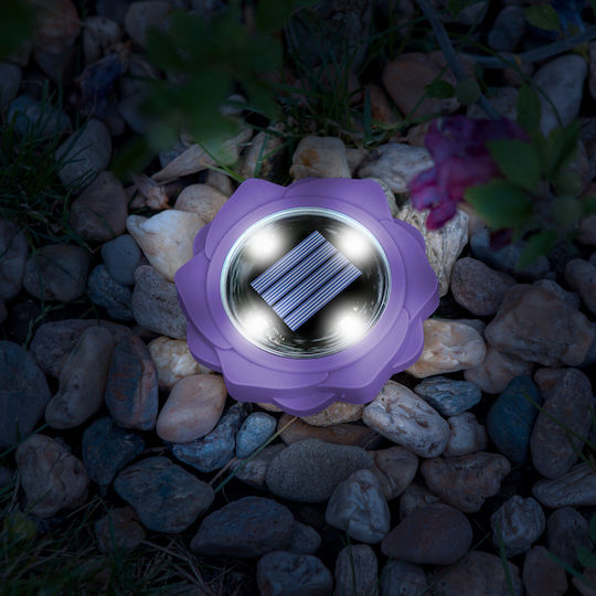 Solarleuchte Led Lila Kaltweiß 11,5 x 2,3 cm