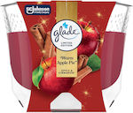 Glade Parfum de Cameră 204gr