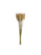 Dried Natural Wheat Stalks 60cm