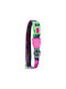 Zee Dog Ошийник за Кучета Reebok Aerobic 31-43см Х 1,5см S