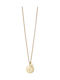 Loisir Necklace Talisman with design Star Gold Plated with Zircon