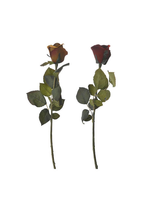 Τριαντάφυλλο 71cm 12τμχ Iliadis