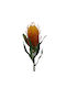 Decorative Artificial Flower Orange 12pcs InTheBox