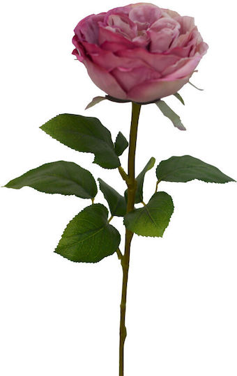 Pink Rose 12 Pieces InTheBox Pink Rose 12 Pieces InTheBox