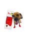 Pawz Pawz Socks Dog Red in Red Color