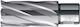 Hm Flat Carrot Weldon Shank 3/4'' Length 55 Mm Dim 31.0