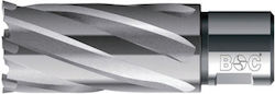 Hm Flat Carrot Weldon Coada 3/4'' Lungime 55 Mm Mărime 19.0