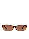 Meller Tingo Unisex Sunglasses With Brown Tartaruga Horn-Rimmed Frame And Brown Lenses AMR-TIGGBROWN