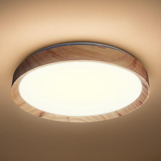 Eko Light Ceiling Light LED