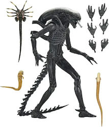 Neca Alien Alien Romulus Ultimate Xenomorph Xx121 Action Figure Height 18cm Scale 1:10 Neca Alien Alien Romulus Ultimate Xenomorph Xx121 Action Figure Height 18cm Scale 1:10