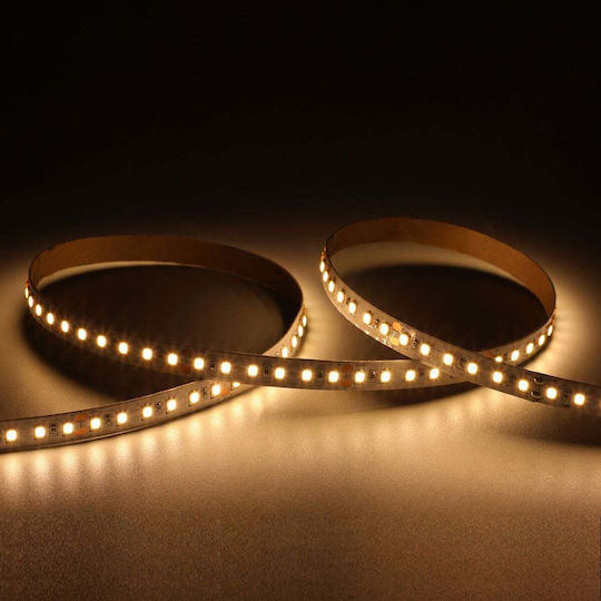Cubalux Ταινία LED Tωra 24V Θερμό Λευκό Φως 50m